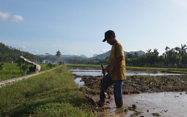 Petani di Trenggalek sedang mengelola lahan pertanian agar siap panen.