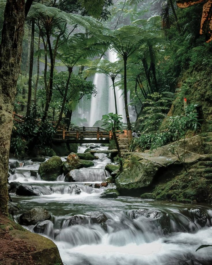 Keindahan Air Terjun Jumog di Karanganyar yang menawarkan suasana sejuk dan panorama alam khas lereng Gunung Lawu.