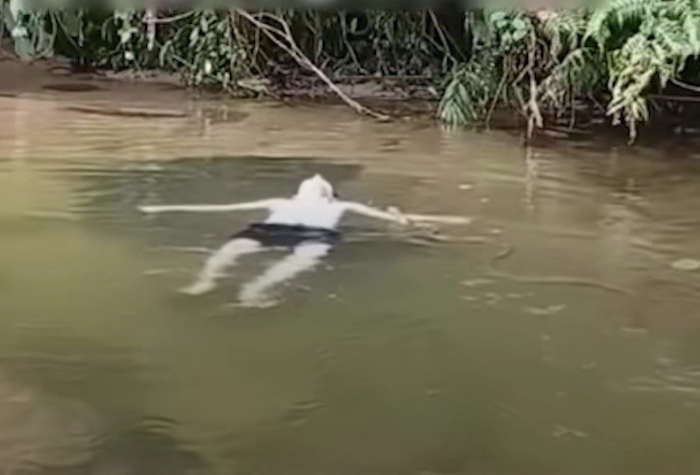 Detik-detik pemuda nyaris disergap ular saat bersantai di sungai. Video tersebut viral dan menjadi pengingat pentingnya kewaspadaan saat berada di alam terbuka.
