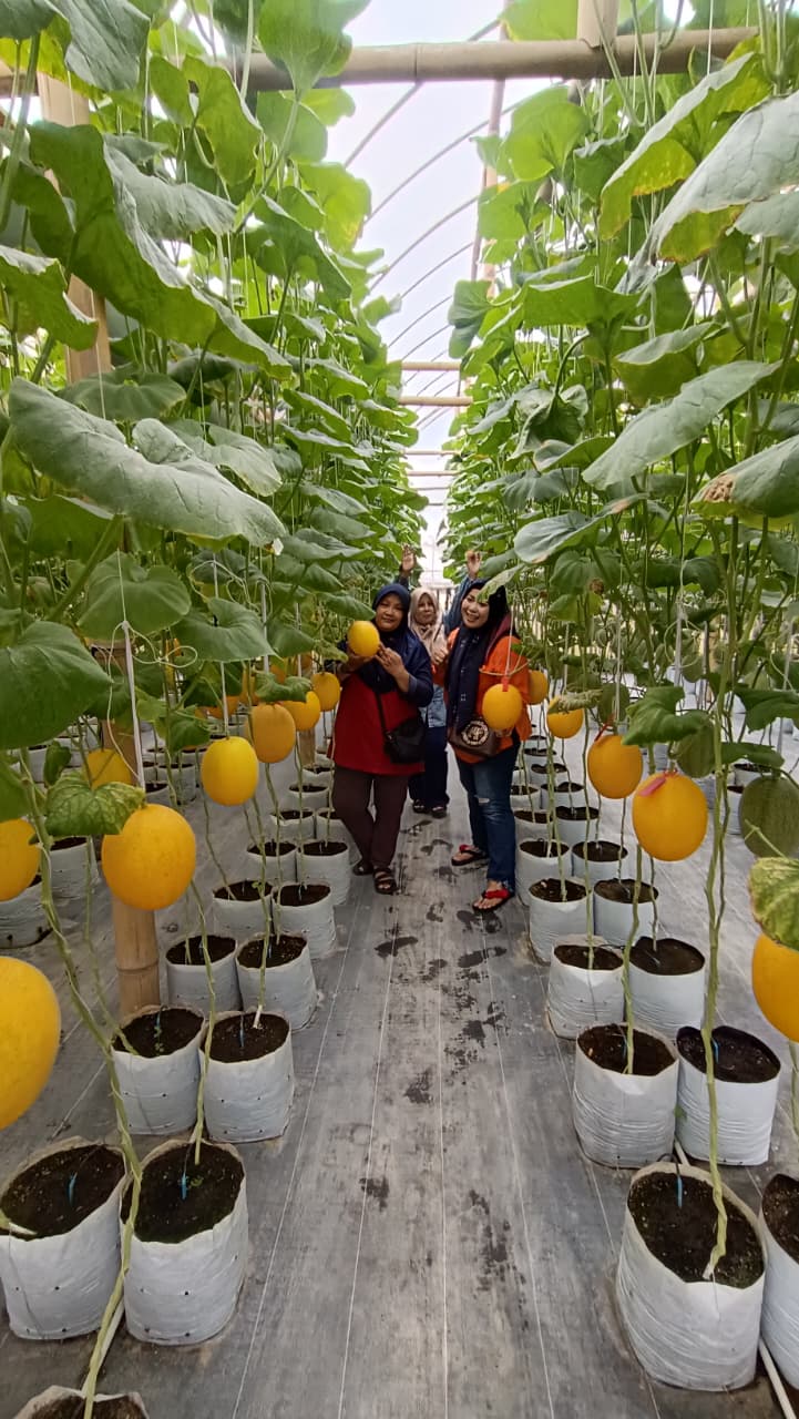 Di Desa Parakan, Kecamatan Trenggalek, ada cara yang unik untuk menjual buah-buahan dari kebunnya.