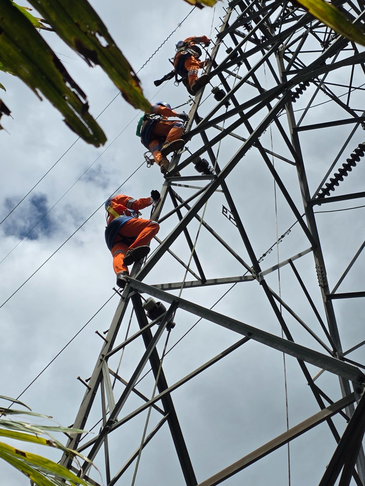 Akses jalan darat yang mulai terbuka di Sibolga mempermudah perjuangan PT PLN (Persero) dalam memulihkan infrastruktur kelistrikan yang rusak.