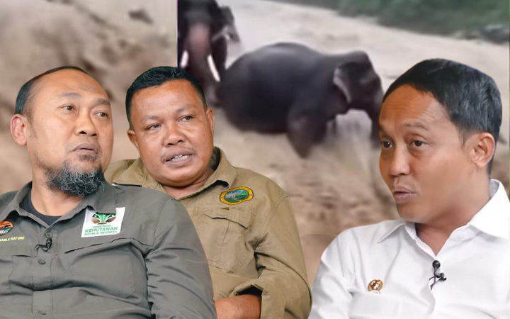 Para petugas kehutanan membahas kondisi Tesso Nilo, dengan rekaman gajah terdampak kerusakan hutan di latar belakang. (tangkapan layar YouTube)