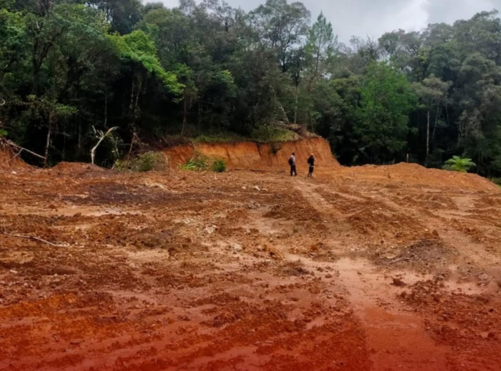 Perambahan hutan di Tombolapao merusak hulu DAS Jeneberang. PILHI memperingatkan krisis air, banjir, dan longsor mengancam Makassar jika penegakan hukum mandul.