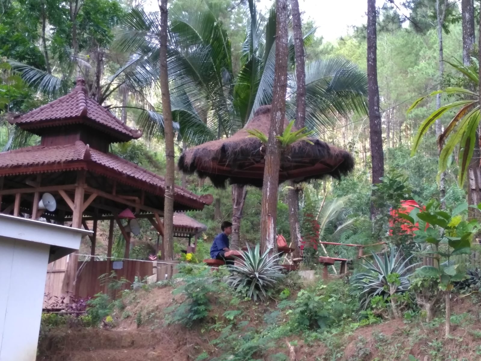 Kawasan hutan di Trenggalek yang dialihfungsikan sebagai tempat wisata dengan skema KHDPK.