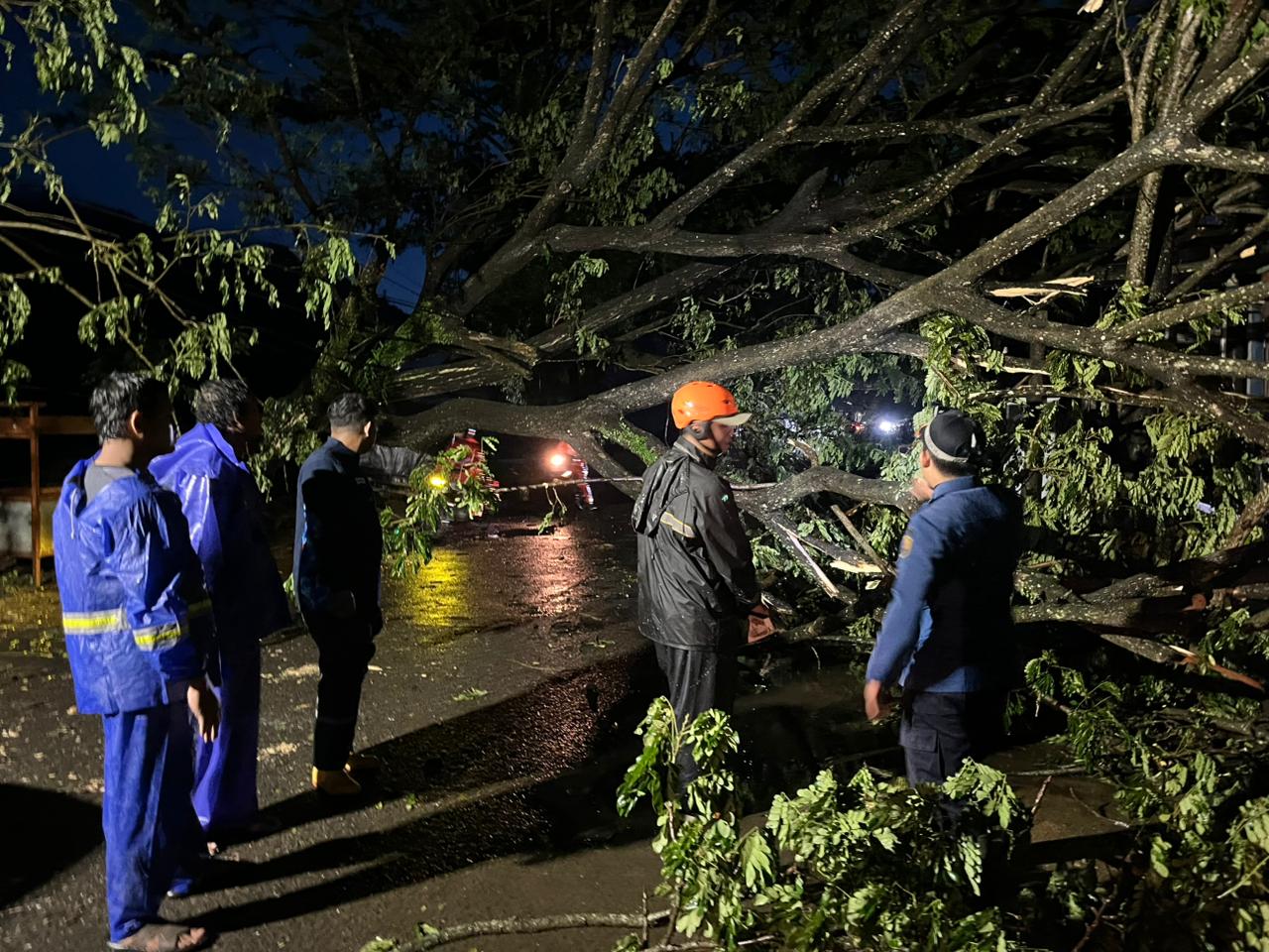 Pohon tumbang di Jalan Nasional Durenan&ndash;Bandung, tepatnya di RT 06 RW 02 Dusun Krajan, Desa Ngadisuko, Kecamatan Durenan, Kabupaten Trenggalek.