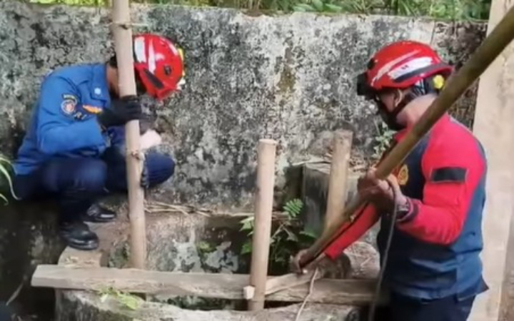 Warga Desa Gandusari, Kecamatan Gandusari, Kabupaten Trenggalek, dengan ulah kambing, pada Kamis (1/1/2025).