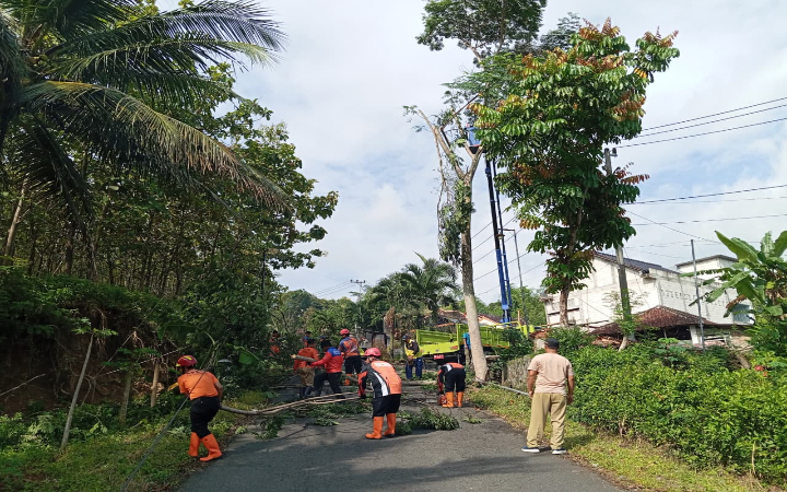 Pemerintah Desa Ngepeh, Kecamatan Tugu, Kabupaten Trenggalek, melakukan penebangan sejumlah pohon di jalur utama desa, Selasa (20/1/2026).