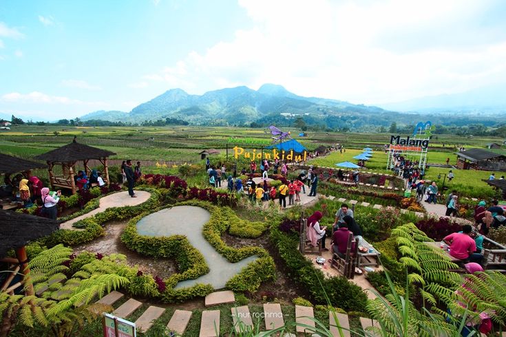 Wisata dingin di Jawa Timur di Pujon Malang menghadirkan Desa Pujon Kidul, Cafe Sawah, Coban Rondo, hingga Florawisata Santerra.