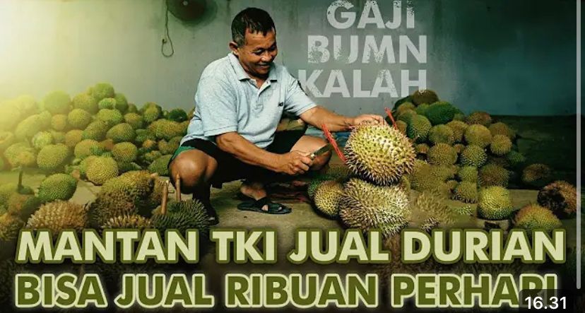 Mas Bram Durian Trenggalek supplier durian tertua! Sehari kirim 5.000 buah, lengkap Musang King sampai montong.