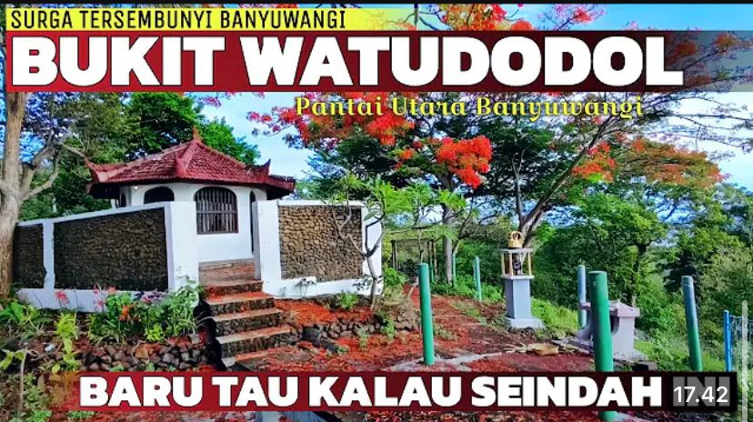 Bukit Watu Dodol Banyuwangi viral 2026! Bunga merah mekar mirip Jepang, view Selat Bali, ada situs Syekh Maulana Ishak & Gua Jepang.