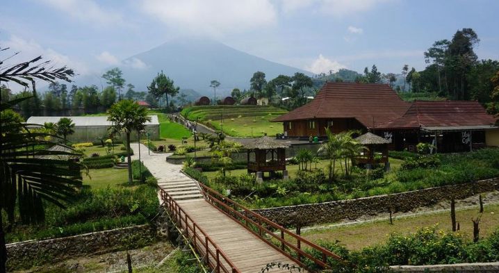 Bukit Tritung Baturaden jadi spot terbaik melihat Gunung Slamet! Tiket masuk Rp10.000, tersedia camping ground dan view kota Purwokerto.