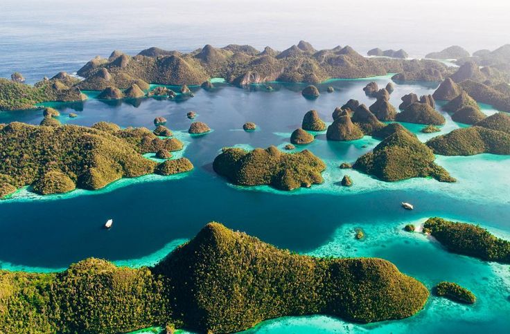 Keindahan bawah laut Raja Ampat diakui dunia sebagai lokasi diving terbaik. Terumbu karang sehat dan ikan warna-warni jadi daya tarik utama.