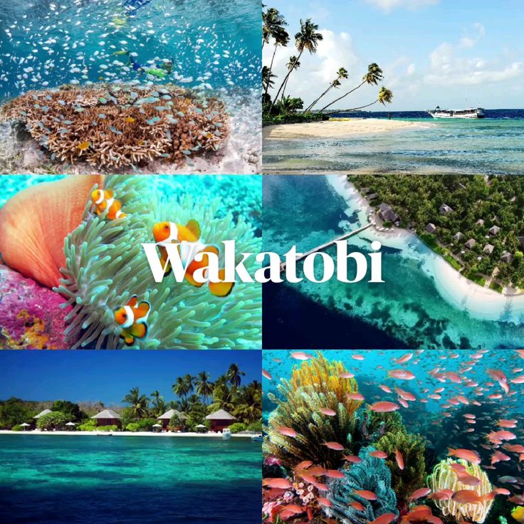 Keindahan Wakatobi menawarkan surga bawah laut, budaya Suku Bajo, dan wisata alam unik di destinasi prioritas Indonesia.