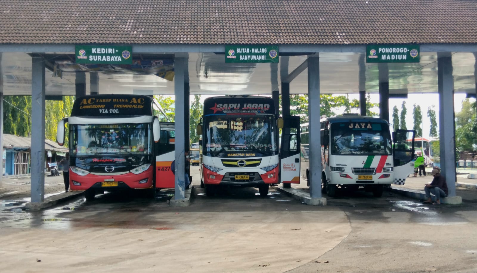 Tampak tiga bus di shelter keberangkatan terminal bus surodakan trenggalek menunggu penumpang