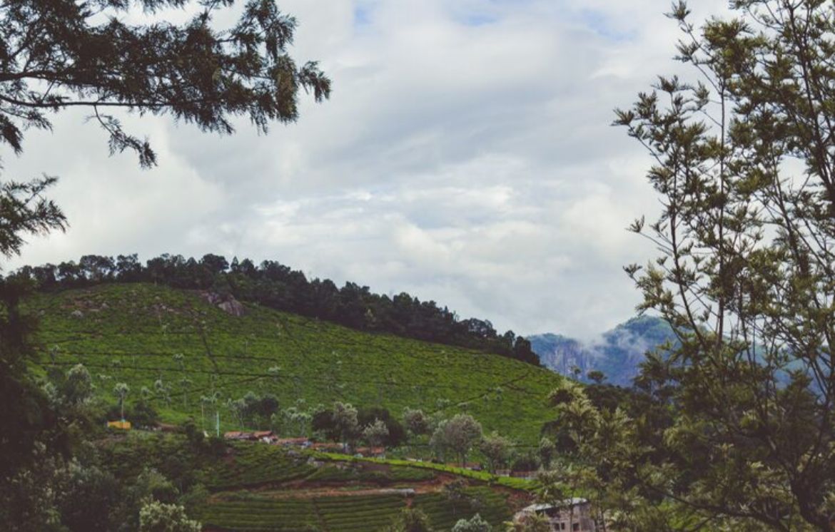 Pesona Kebun Raya Baturaden, Wisata Sejuk di Purwokerto yang Ternyata Punya Spot Mistis hingga Penginapan Keluarga