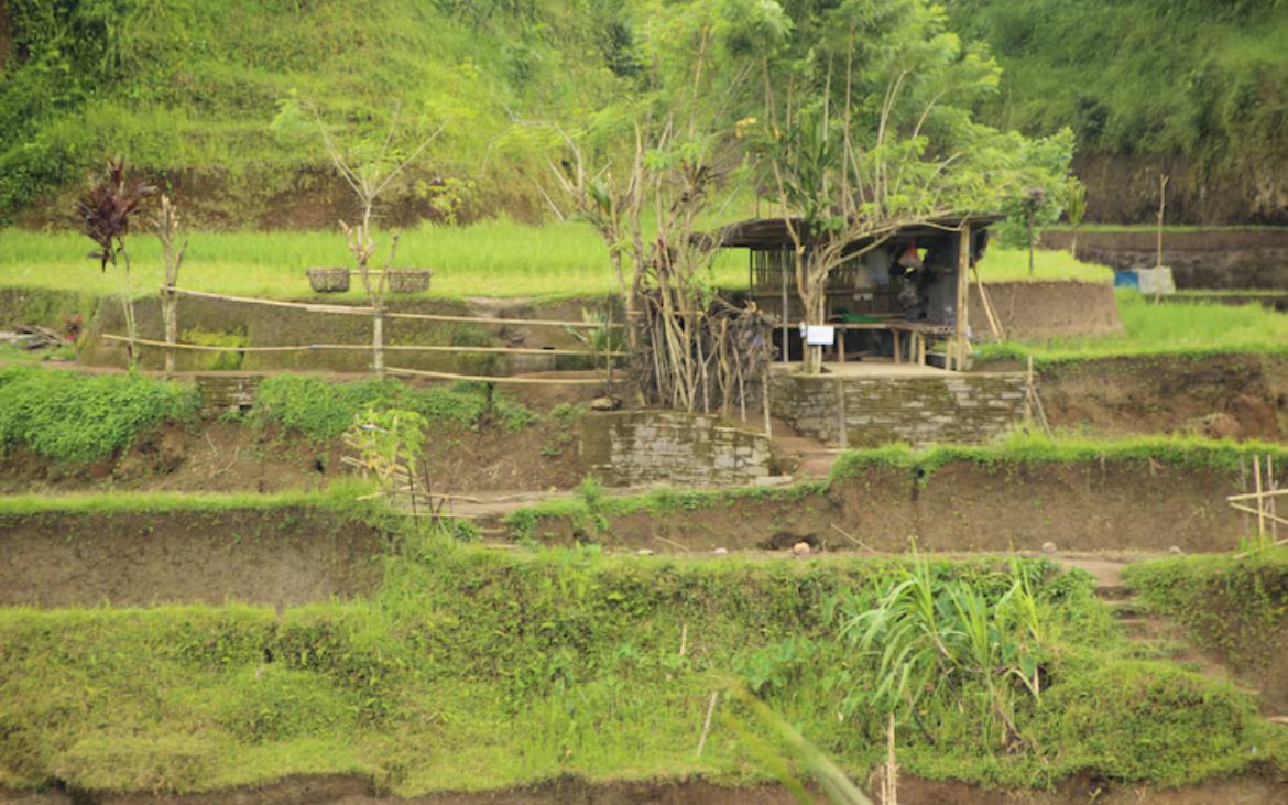 Jelajah Kebun Raya Baturaden Banyumas, Wisata Pegunungan 143 Hektare yang Adem, Lengkap dari Konservasi hingga Pancuran 7