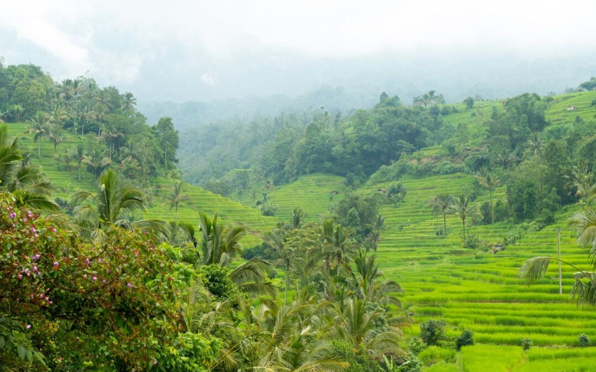 Tracking di Kebun Raya Baturaden Purwokerto, Hutan Sejuk, Jalur Menantang, dan Spot Alam yang Jarang Diketahui Wisatawan