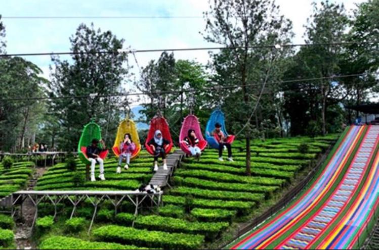 Wisata Kebun Teh Gunung Mas Puncak viral! Cek harga bugi, T Bridge, bumper boat, Rainbow Slide, mini jeep, plus review pengunjung.