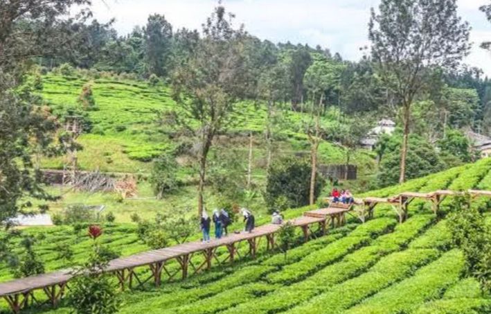 Wisata Gunung Mas Puncak Bogor makin hits! Cek tiket masuk, parkir, wahana viral gokart, Rainbow Slide, ATV, glamping terbaru.