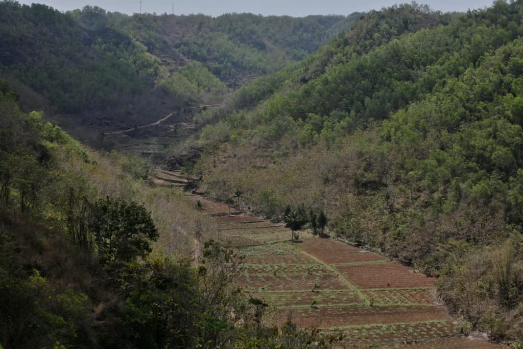 Bengawan Solo Purba membentuk lembah kering Gunung Sewu, menjadi ruang hidup warga Dusun Mendak dan potensi geowisata berkelanjutan.