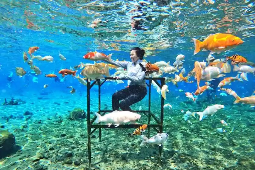 15 tempat wisata Klaten terbaru yang hits dan instagramable, dari Umbul Ponggok, Candi Sewu hingga Kali Talang Merapi.