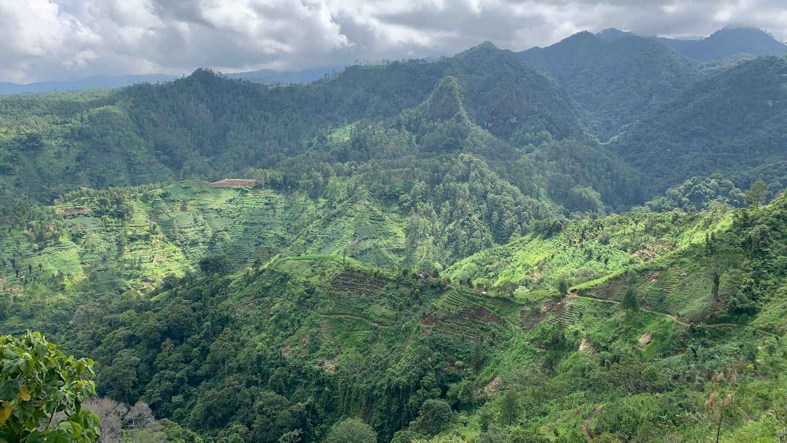 Desa Botoputih Trenggalek di lereng Gunung Wilis jadi sentra sapi perah dan gerbang wisata alam serta jalur pendakian baru.