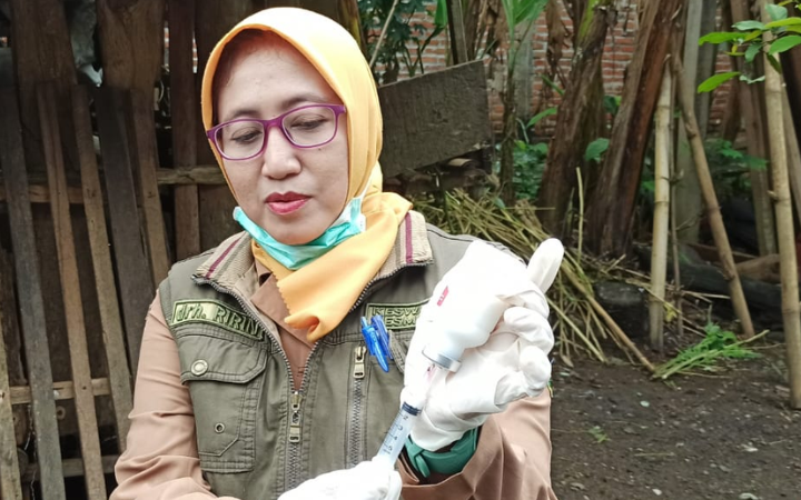PENCEGAHAN: Petugas disnakkan ketika menyuntikkan vaksin terhadap hewan ternak di wilayah Desa Sokowetan, Kecamatan Karangan.