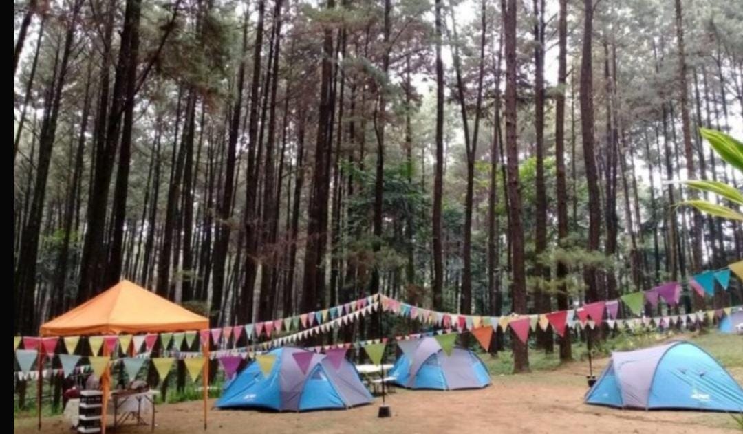 Hutan Tinjomoyo Semarang hadirkan paket wisata jeep, river tubing, dan jembatan kaca yang jadi daya tarik baru wisata petualangan.