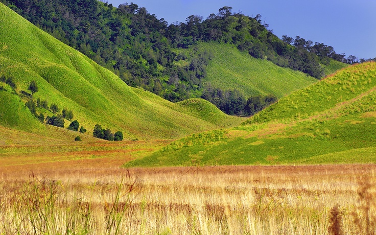 Berburu sunrise Gunung Bromo dari Malang, nikmati Penanjakan, lautan pasir, Pasir Berbisik, hingga kawah ikonik Bromo.