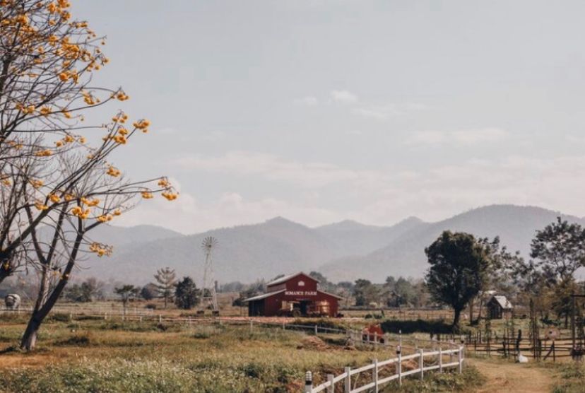 Pesona Bukit Mongkrang Gunung Lawu dari Dusun Tlogo Nringgo, wisata alam sejuk, jalur ramah keluarga, dan panorama bak Swiss.