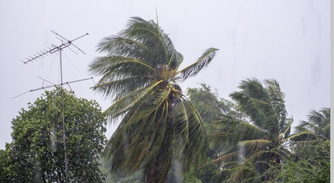 Viral angin puting beliung di Banyuwangi bak tornado rusak 52 rumah dan sebabkan banjir. BPBD salurkan bantuan dan lakukan pendataan.