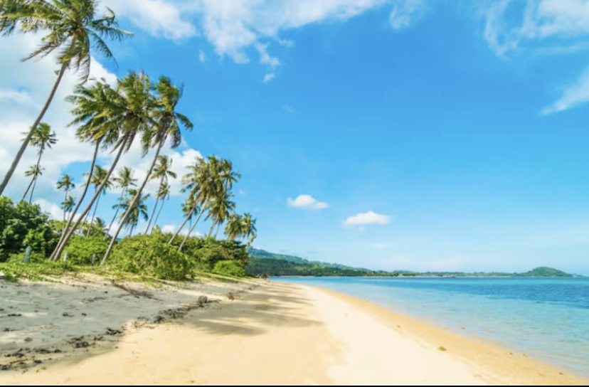 Pantai Papuma ramai wisatawan. Masuk lewat Watu Ulo, tiket terbaru terjangkau, pasir bersih, ombak besar khas pantai selatan Jember.