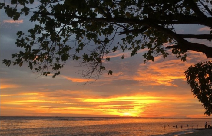 Pantai Selatan Tulungagung punya banyak pantai ombak tenang yang bisa berenang. Simak 5 pantai terbaik untuk rekomendasi liburan 2026.