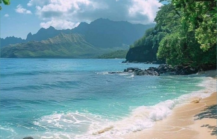 Jelajahi 9 pantai terindah di Malang Selatan yang wajib masuk daftar liburan 2026, lengkap dengan pesona alam dan spot favorit wisatawan.
