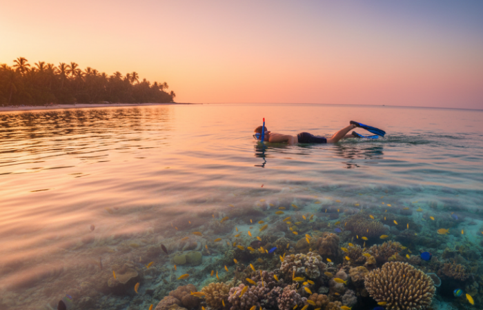 Wisata Mojokerto terbaru dengan panorama eksotis, tiket terjangkau, dan konsep unik, cocok jadi rekomendasi liburan 2026.