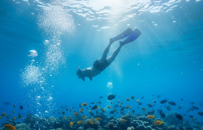Wisata Gili Ketapang Probolinggo tawarkan snorkeling seru, open trip murah, dan kuliner ikan bakar lezat untuk liburan berkesan.