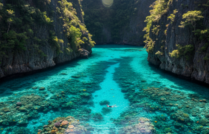10 spot diving terbaik di Indonesia dengan panorama bawah laut kelas dunia, dari Bunaken hingga Alor, wajib masuk wishlist penyelam.