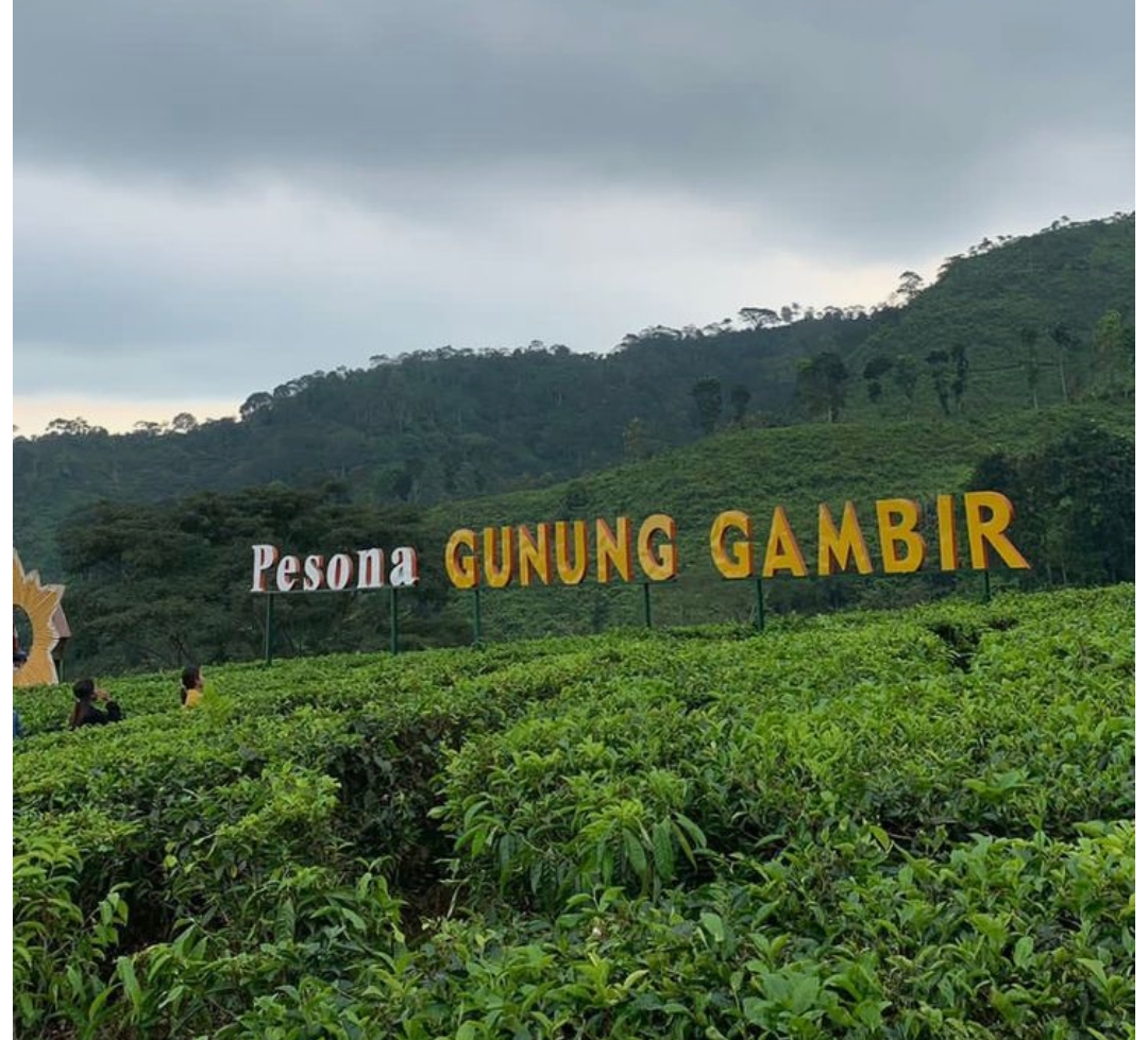 7 wisata Jember paling populer 2026, dari Pantai Papuma hingga Jember Mini Zoo. Referensi lengkap liburan seru di Jawa Timur!