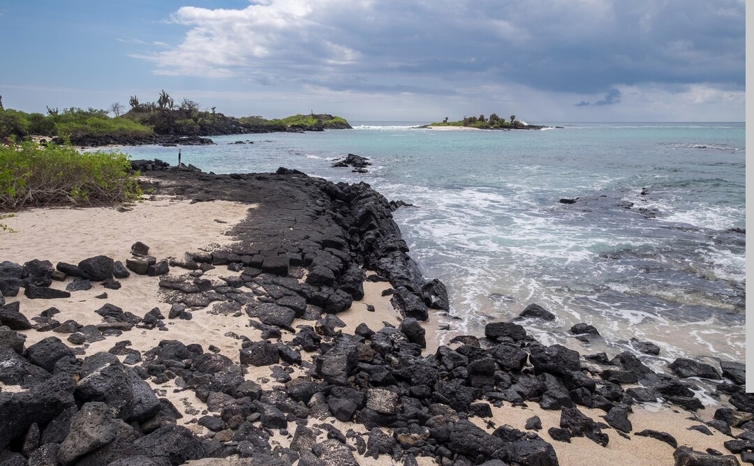 12 wisata terbaru dan populer di Jember 2026, dari Dira Kencong hingga Teluk Love. Rekomendasi liburan hits Jawa Timur!