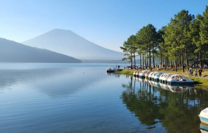 Wisata terbaru dan populer di Magetan 2026, dari Mojosemi Forest Park hingga Telaga Sarangan yang selalu ramai wisatawan.