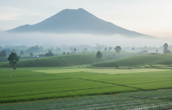 Desa Makarsari Garut di kaki gunung tawarkan udara sejuk, sawah luas, kebun teh, dan perkebunan bawang yang subur.
