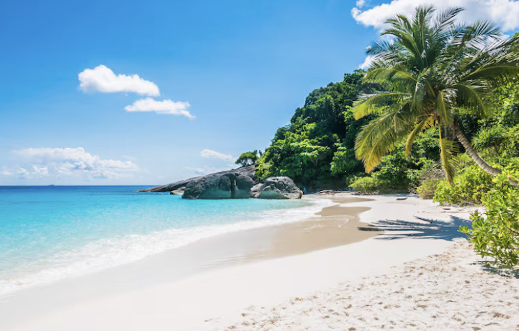 Pantai Kelayar Pacitan ramai wisatawan, pesona pasir putih, seruling laut, homestay murah, dan akses mudah jadi daya tarik utama.