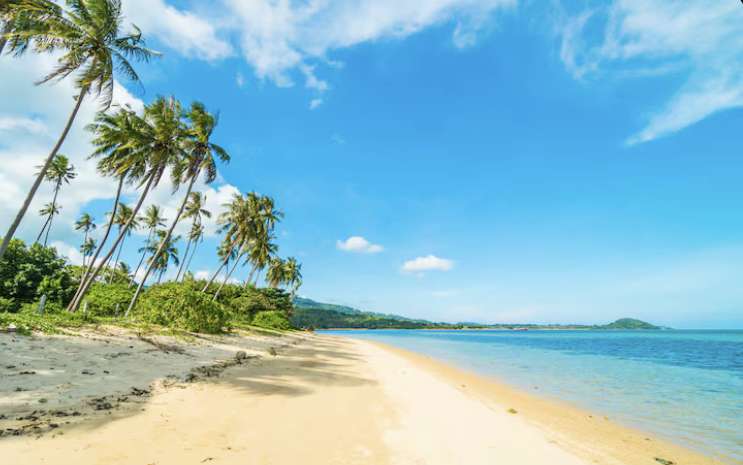 Pantai Pecaron Kebumen menawarkan panorama tebing dan pantai sepi. Tiket murah, fasilitas lengkap, tapi masalah sampah jadi sorotan.