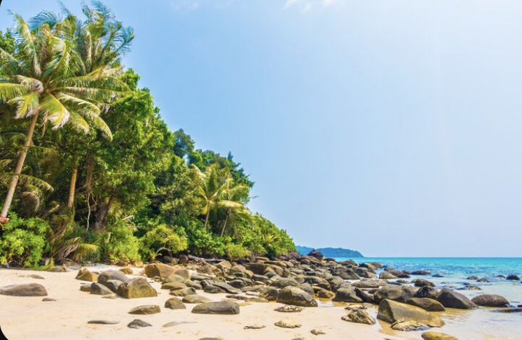 Pantai Pangi Blitar Selatan menawarkan teluk alami, sungai tenang, spot camping favorit, dan akses mudah lewat jalur lintas selatan.