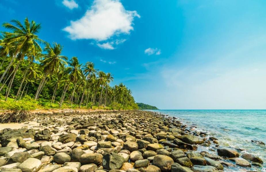 Pantai Kuyon Trenggalek viral dengan panorama laut, sawah, dan tebing eksotis. Tiket murah dan akses petualangan jadi daya tarik wisata.