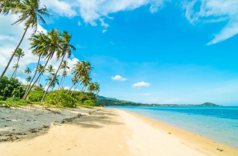 Pantai Pelang Trenggalek punya air terjun unik, hutan pinus, dan spot sunset indah. Wisata alam murah dengan panorama lengkap dan memikat.