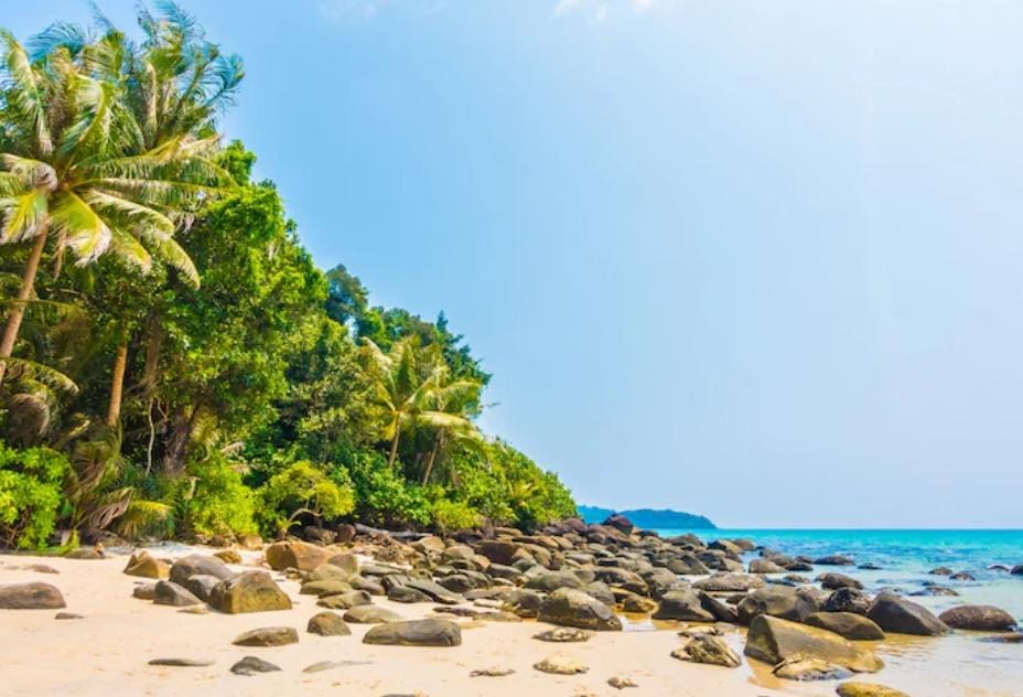 Wisata Trenggalek menawarkan air terjun, bukit, sawah terasering, dan pantai eksotis. Destinasi alam Jawa Timur yang menenangkan dan menantang.