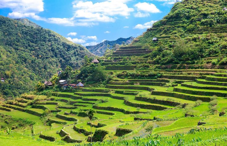 10 wisata Garut terbaik yang wajib dikunjungi, dari gunung, pantai eksotis, air terjun megah, hingga situs sejarah legendaris. Pinterest