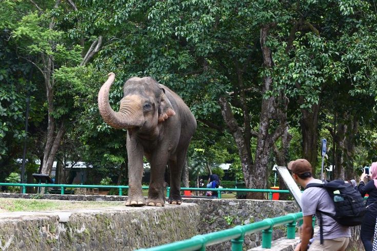 Kampung Gajah Bandung kembali disorot usai jasad siswa SMPN 26 Bandung ditemukan saat live streaming konten horor. Pinterest