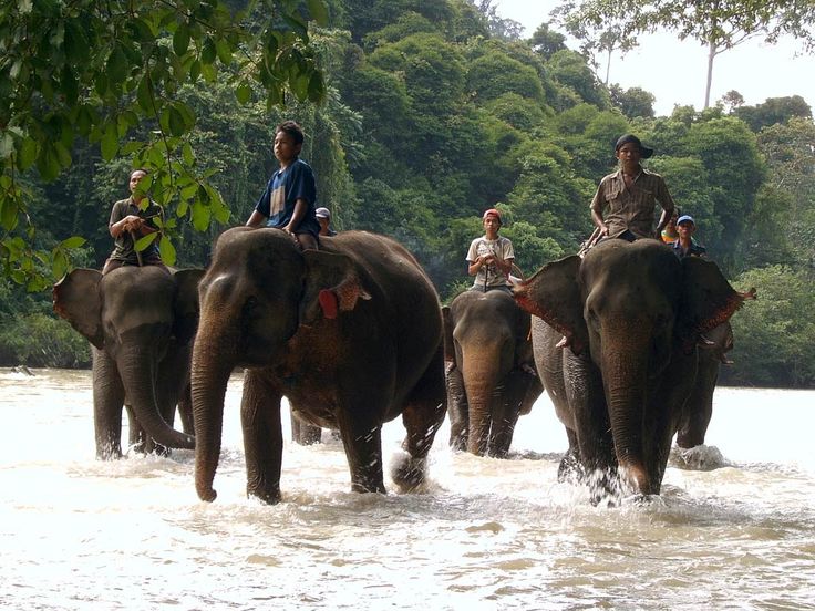 Kampung Gajah Bandung kembali disorot usai tiktoker Tim Terobos Mitos temukan jasad siswa SMPN 26 Bandung di area wisata terbengkalai. Pinterest